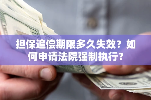 北京担保追偿期限多久失效？如何申请法院强制执行？